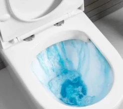 Tavistock Orbit Comfortable Back To Wall White WC With Soft Close Seat -Burlington Shop M 2017 1 23 10 10 11 440