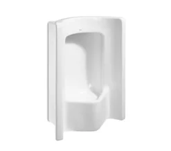 Roca Site White Frontal Exposed Urinal With Top Inlet 490 X 295mm