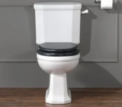 Silverdale Empire Close Coupled WC Pan And Cistern -Burlington Shop M700 2023 3 2 10 53 23 468 1